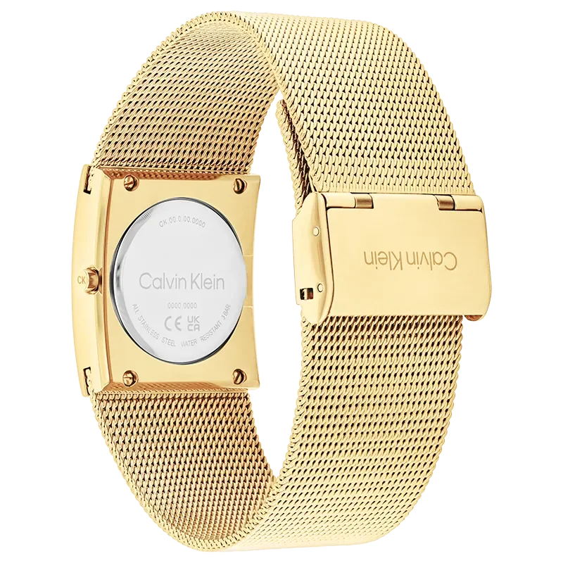 CALVIN KLEIN 25100062