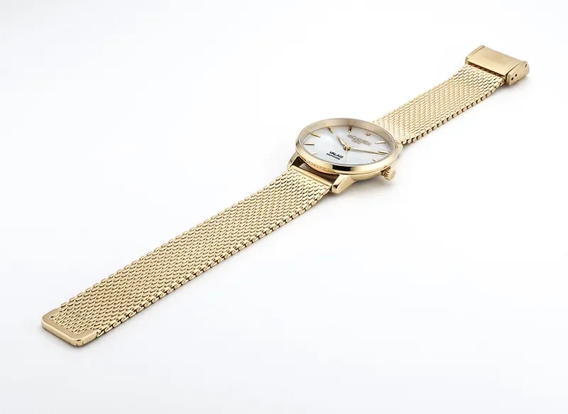 ROAMER VALAIS 989847 48 10 05