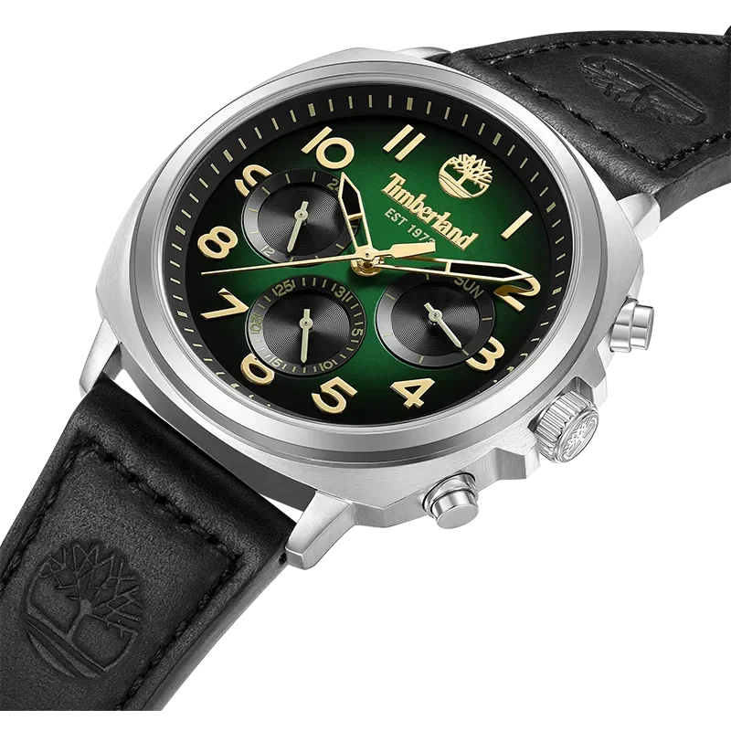 TIMBERLAND WILLISTON-SMALL TDWGB0042008